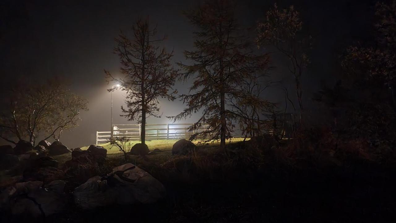 Karuna Guesthouse Saudarkrokur Exteriör bild